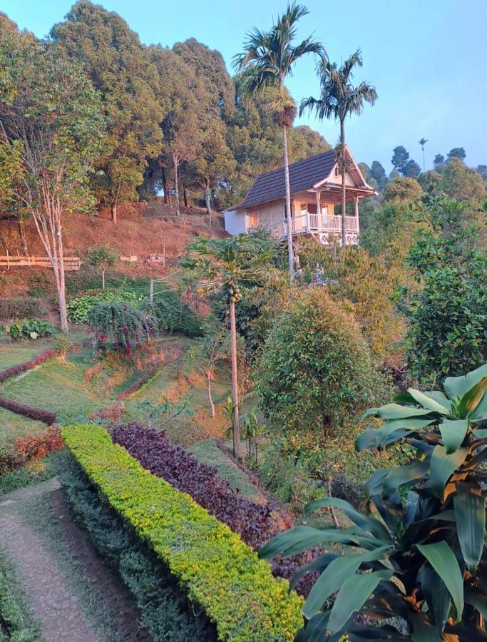 Garden Terrace Bali Bed and Breakfast Gobleg  Buitenkant foto