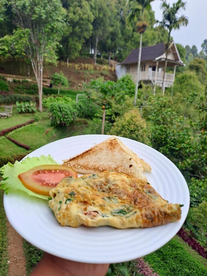 Garden Terrace Bali Bed and Breakfast Gobleg  Buitenkant foto