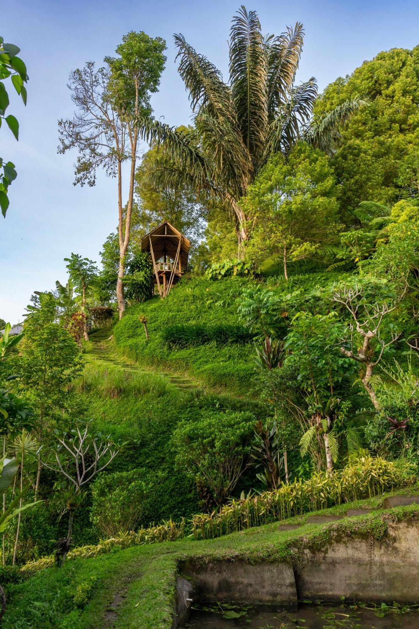 Garden Terrace Bali Bed and Breakfast Gobleg  Buitenkant foto