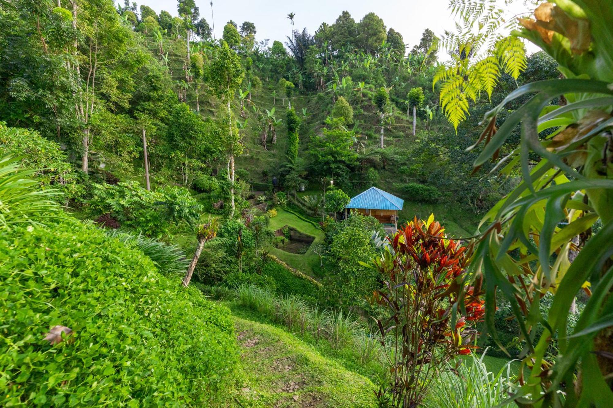 Garden Terrace Bali Bed and Breakfast Gobleg  Buitenkant foto