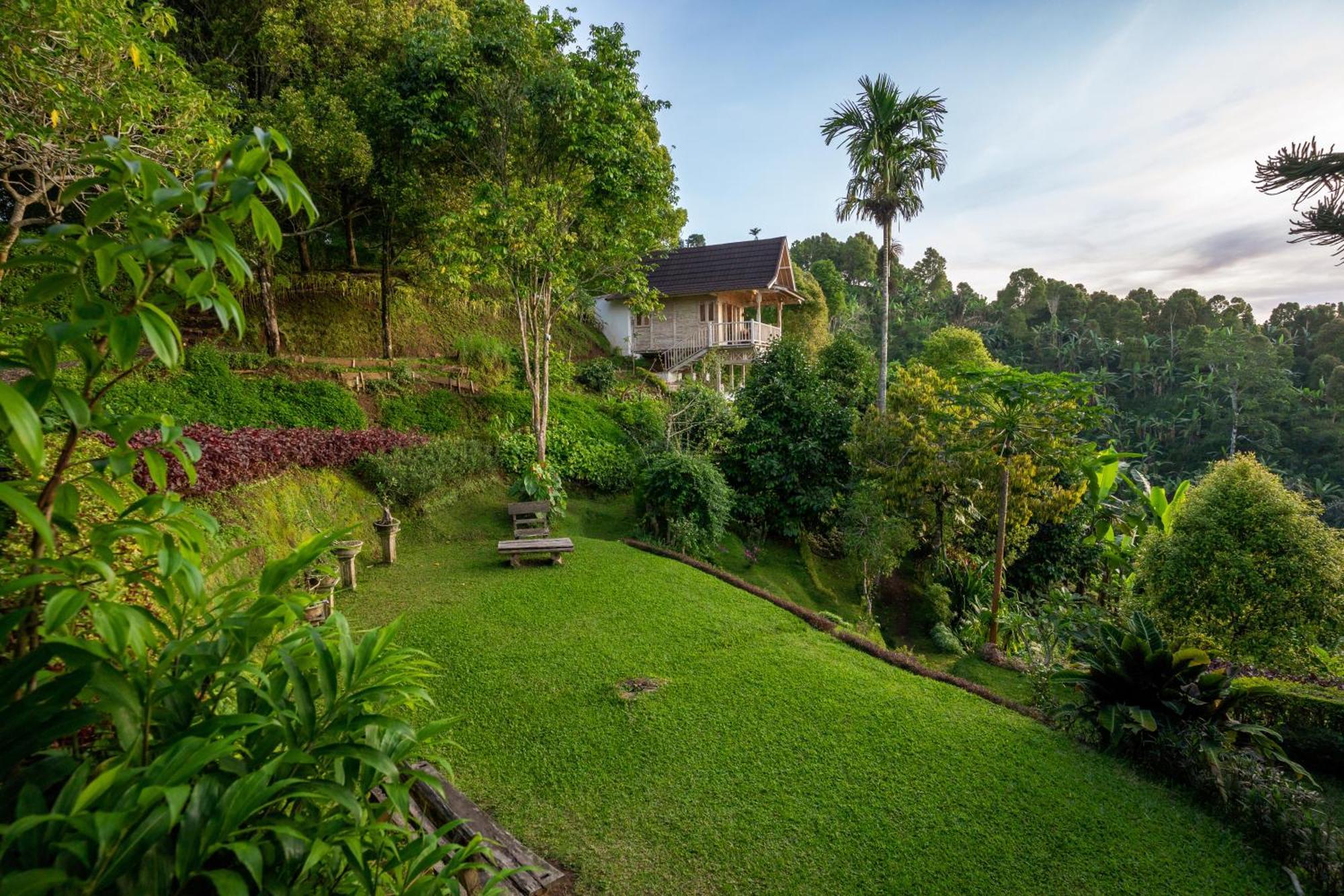 Garden Terrace Bali Bed and Breakfast Gobleg  Buitenkant foto