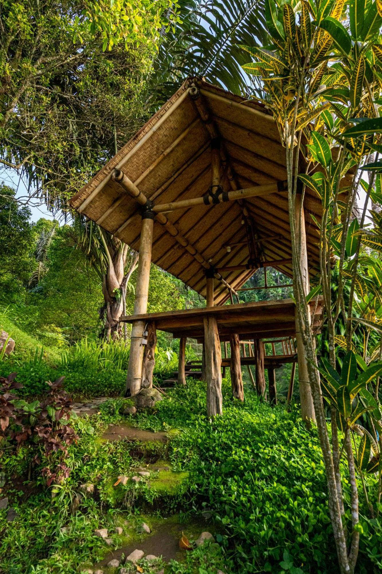 Garden Terrace Bali Bed and Breakfast Gobleg  Buitenkant foto