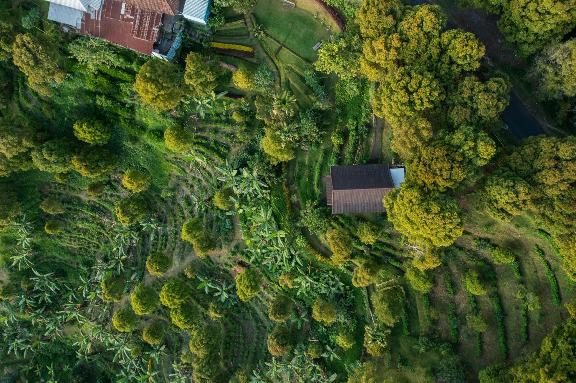 Garden Terrace Bali Bed and Breakfast Gobleg  Buitenkant foto